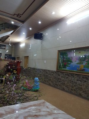 Nhựa ốp tường giả đá
