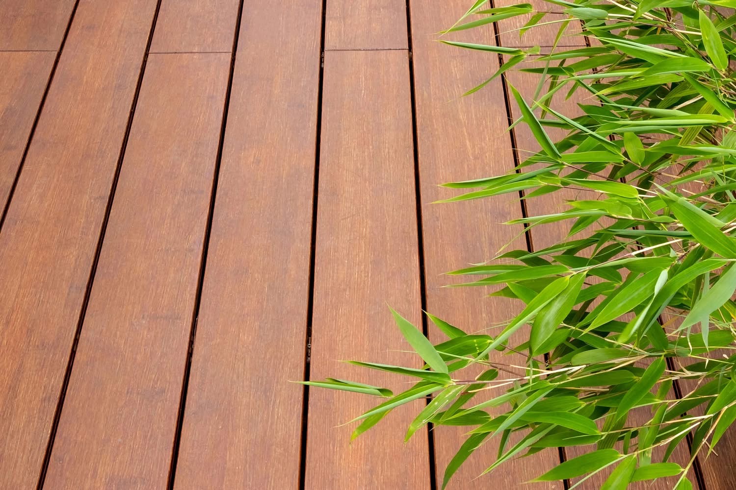 Mặt phẳng của sàn tre ngoài trời